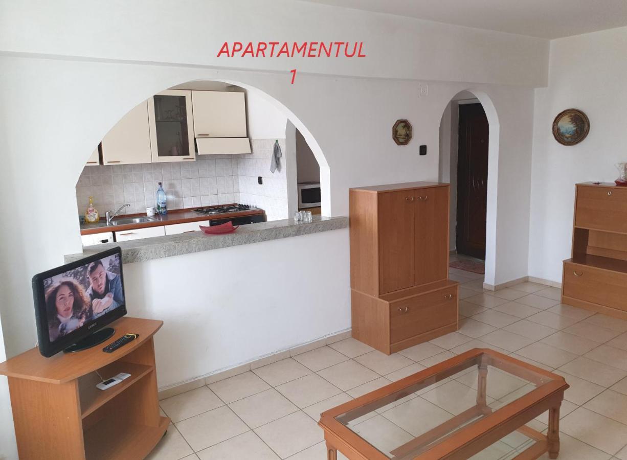 Apartament Cu 2 Camere,Ultracentral In Arad Dış mekan fotoğraf